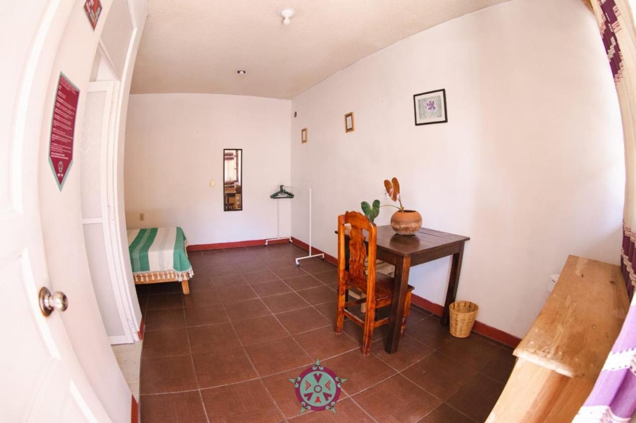 Hostal Alegria De Oaxaca エクステリア 写真