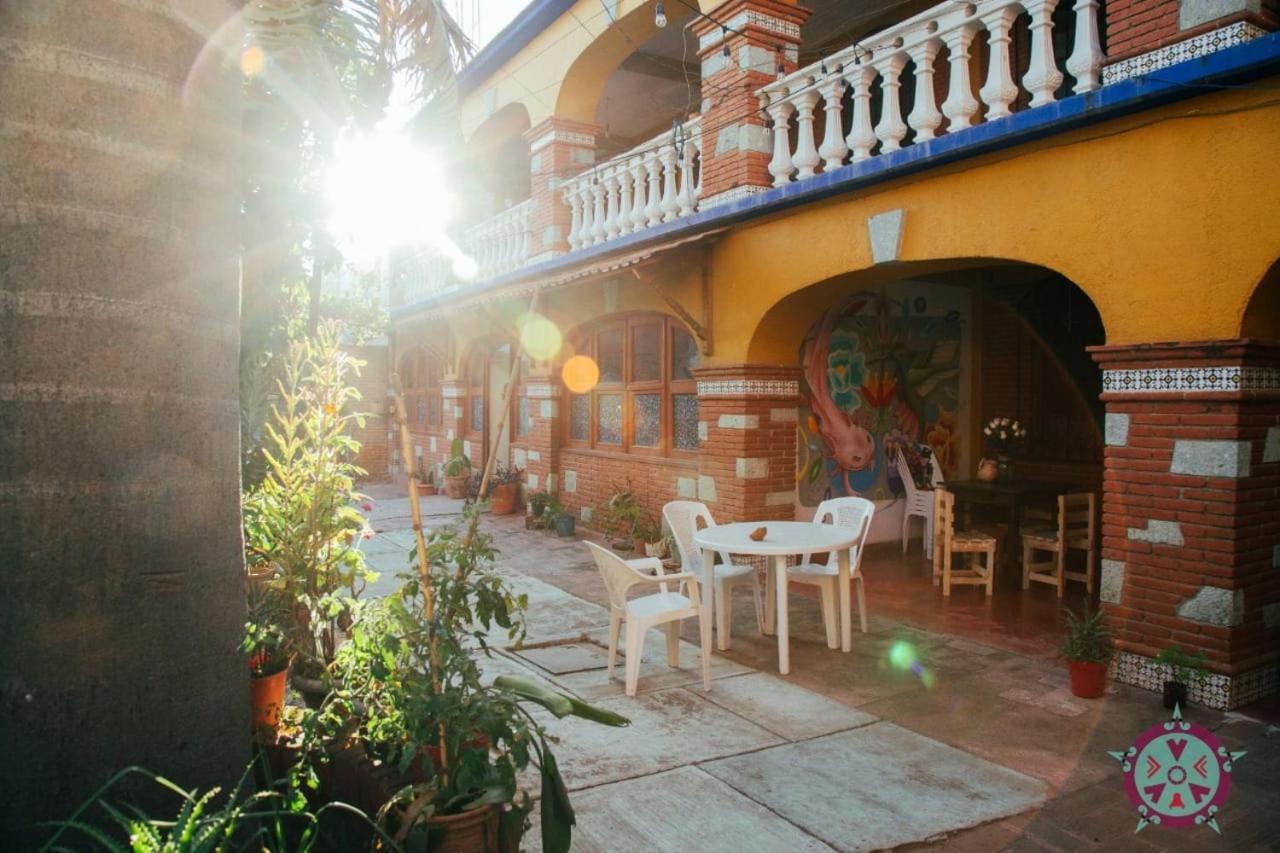 Hostal Alegria De Oaxaca エクステリア 写真
