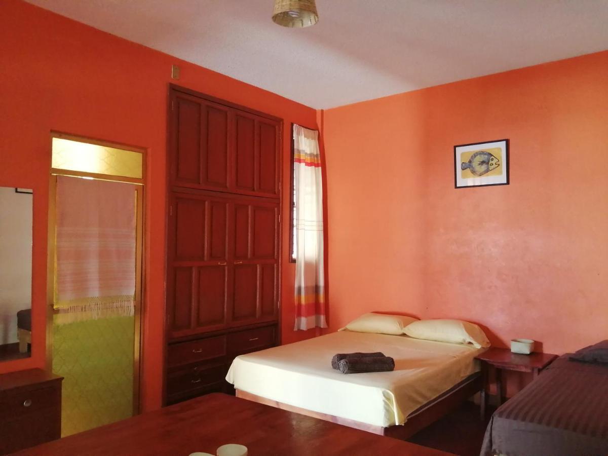 Hostal Alegria De Oaxaca エクステリア 写真